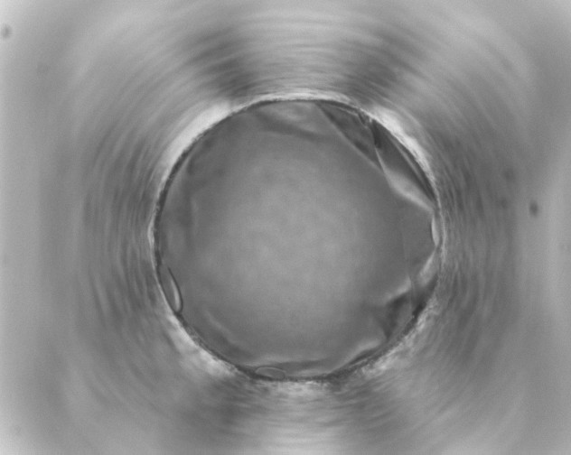 X0000088881189200706221807