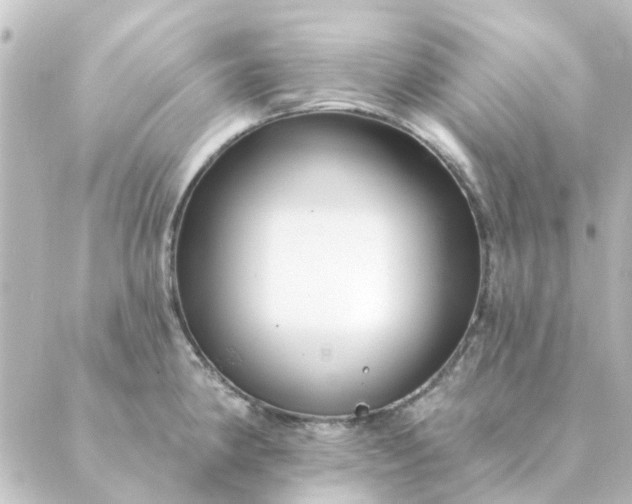 X0000088881190200706221807