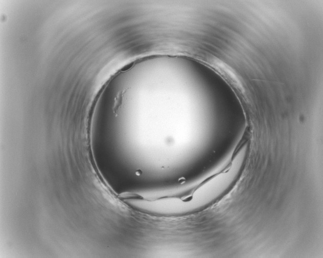 X0000088881192200706221807