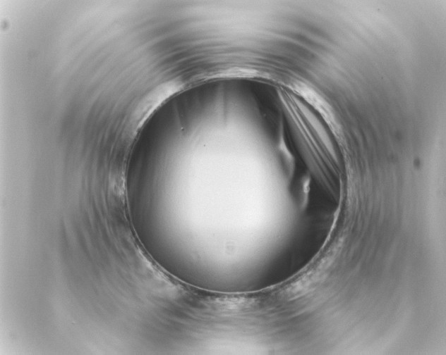 X0000088881193200706221807