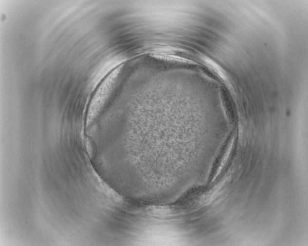 X0000088881194200706221807