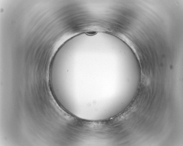 X0000088881195200706221807