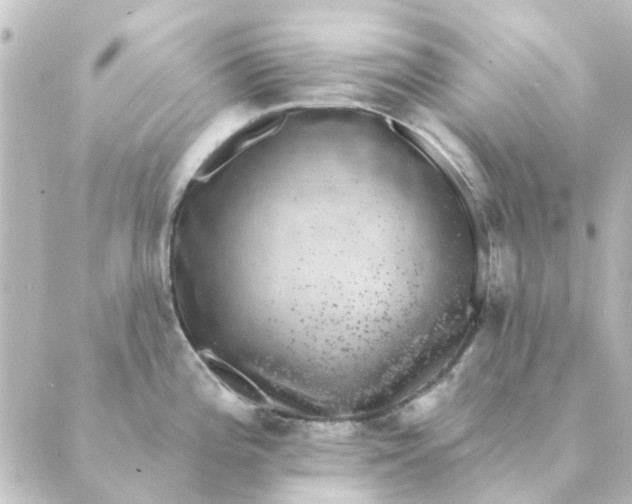 X0000088881196200706221807