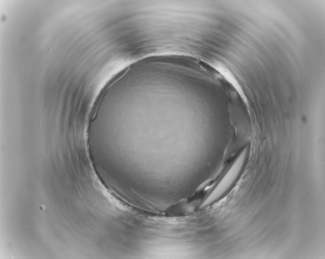 X0000088881197200706221807