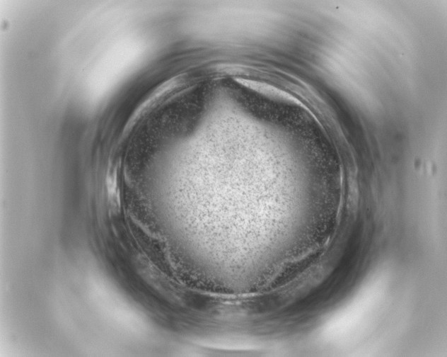 X0000088881198200706221807