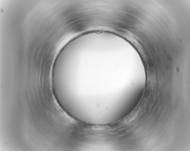 X0000088881199200706221807