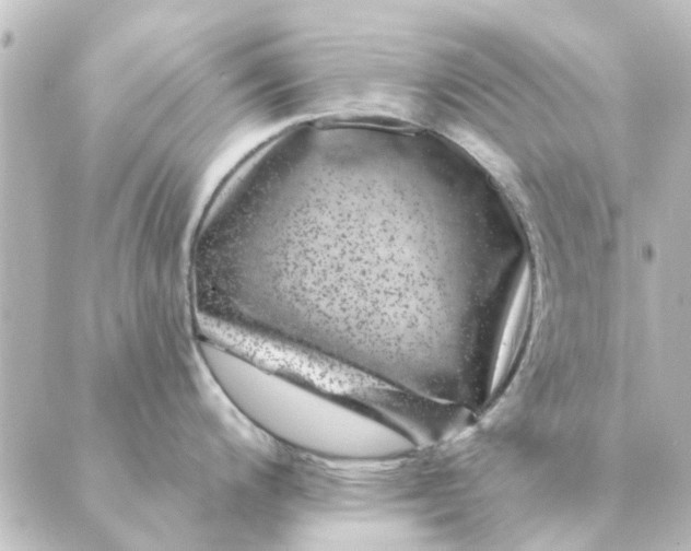 X0000088881200200706221807