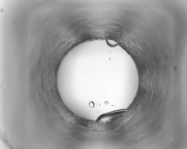 X0000088881201200706221806