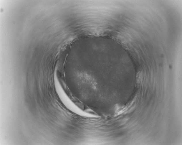 X0000088881202200706221806