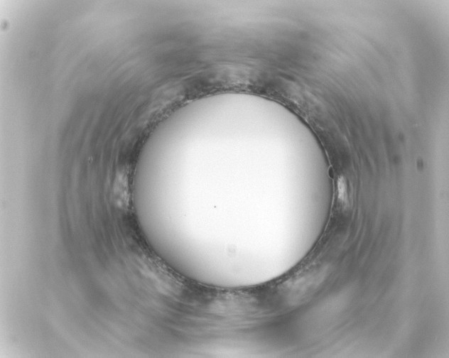 X0000088881203200706221806