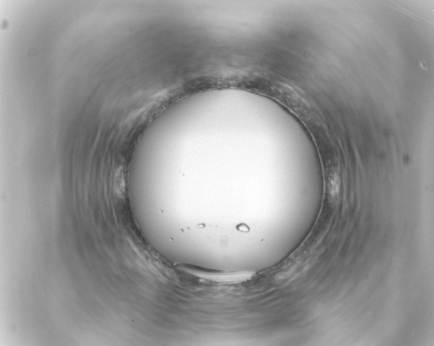 X0000088881204200706221806