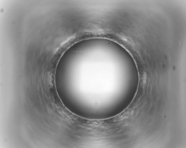 X0000088881205200706221806