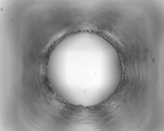 X0000088881207200706221806