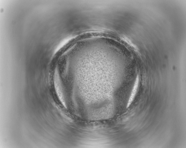 X0000088881208200706221806