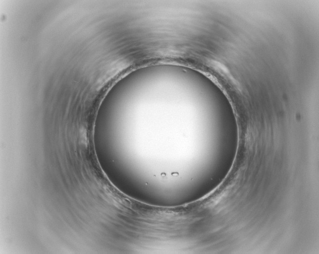 X0000088881209200706221806