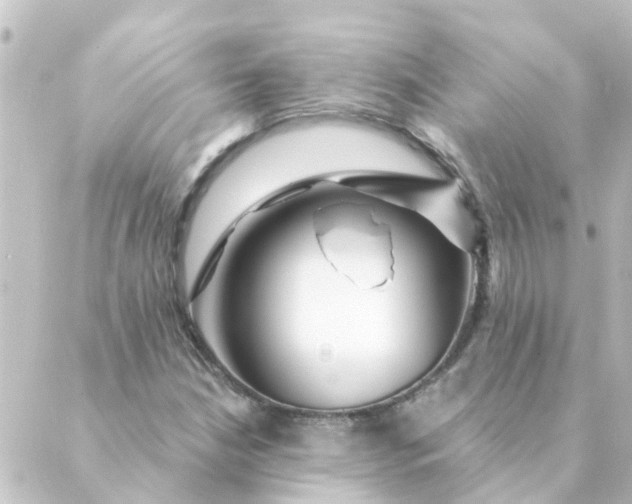 X0000088881210200706221806