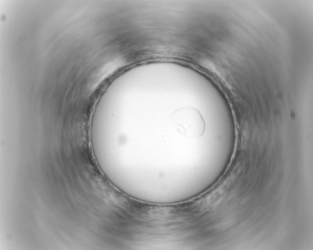 X0000088881211200706221806