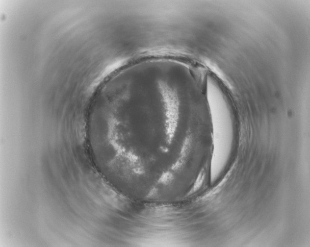 X0000088881213200706221806