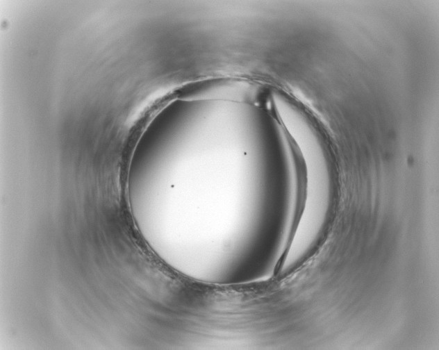 X0000088881214200706221806