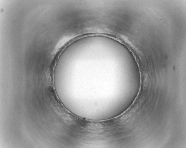 X0000088881215200706221806