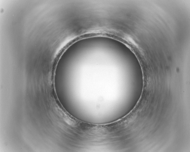 X0000088881216200706221806