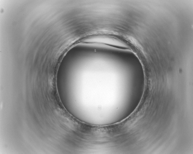 X0000088881217200706221806