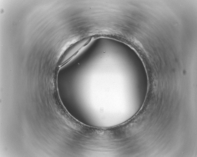 X0000088881218200706221806