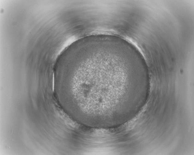 X0000088881219200706221806