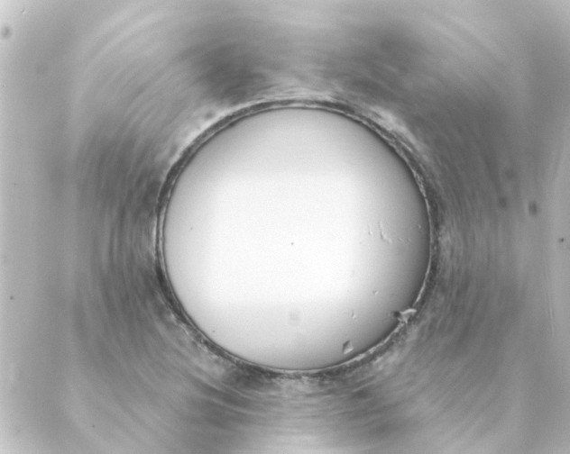 X0000088881220200706221806