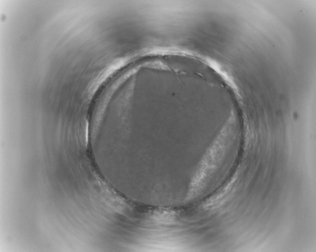 X0000088881221200706221806