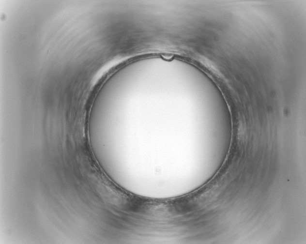 X0000088881222200706221806