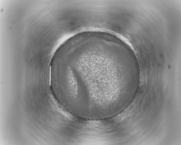 X0000088881223200706221806