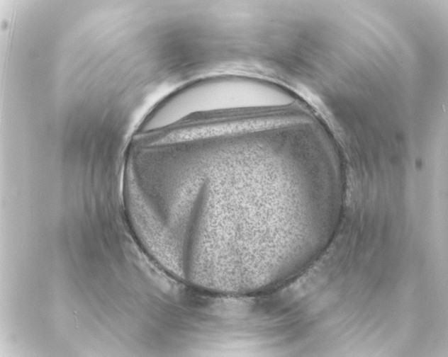 X0000088881224200706221806