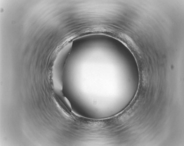 X0000088881225200706221806