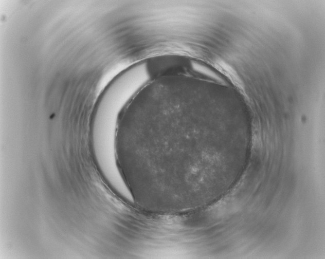 X0000088881226200706221806