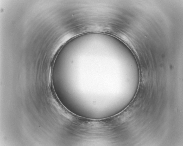 X0000088881227200706221806