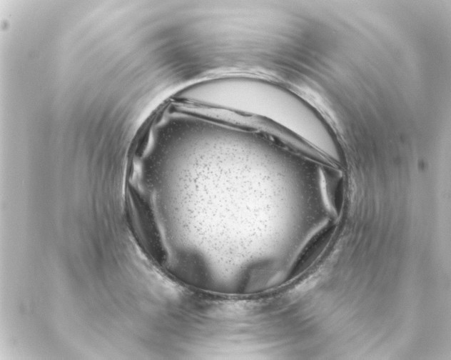 X0000088881228200706221806