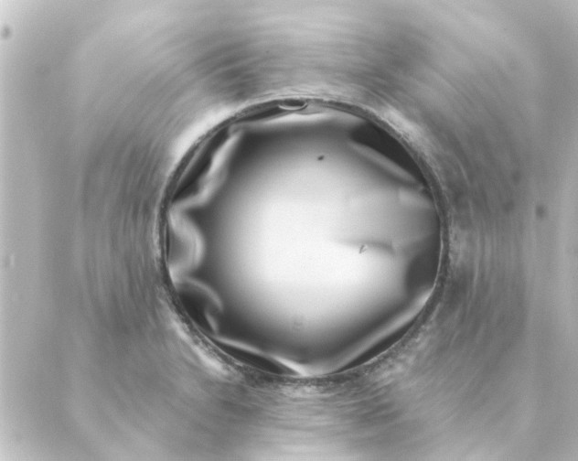 X0000088881230200706221806