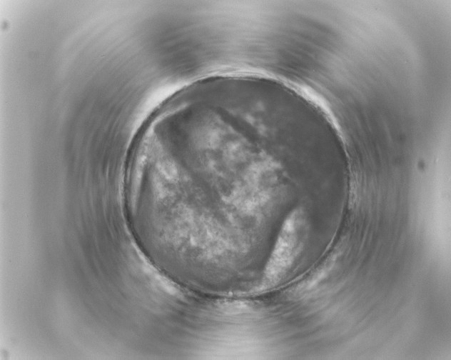 X0000088881231200706221806