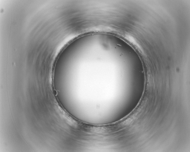 X0000088881232200706221806