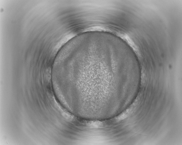 X0000088881233200706221806