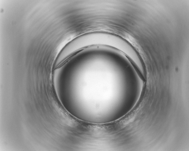 X0000088881234200706221806