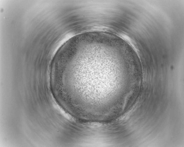 X0000088881235200706221806