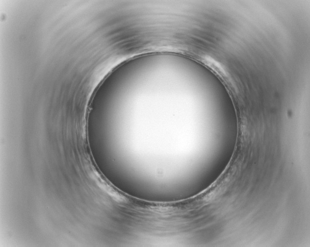 X0000088881236200706221806