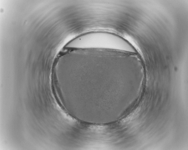 X0000088881237200706221806