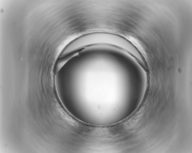 X0000088881238200706221806