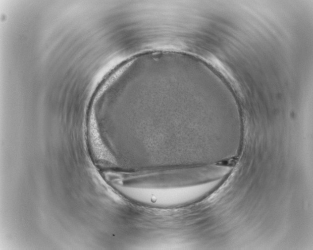 X0000088881240200706221806