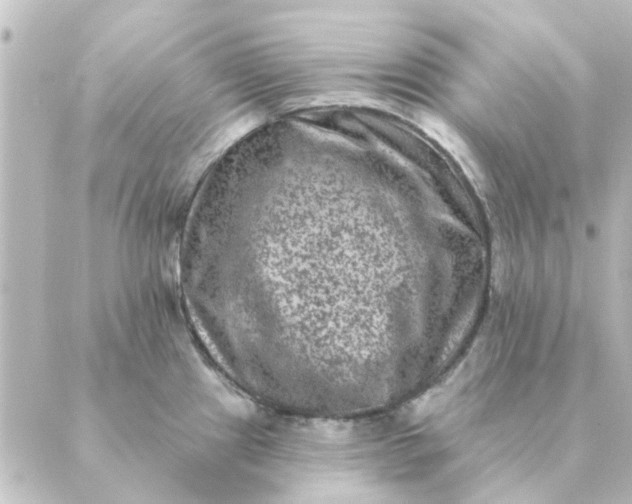 X0000088881241200706221806