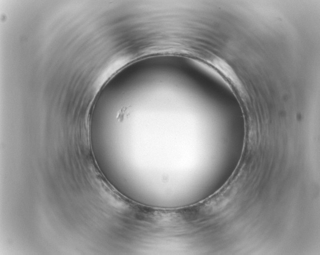 X0000088881242200706221806