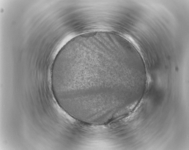 X0000088881243200706221806